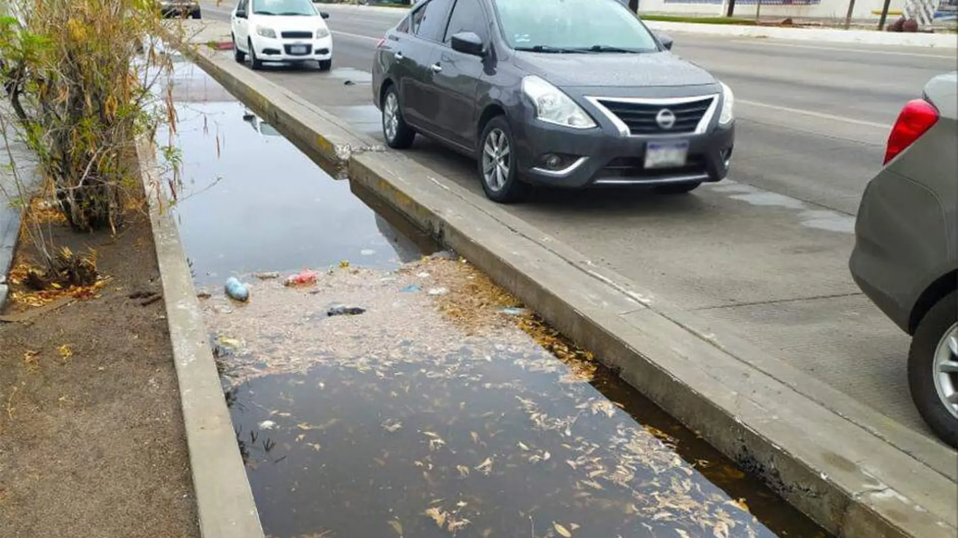 Ciclovia La Paz